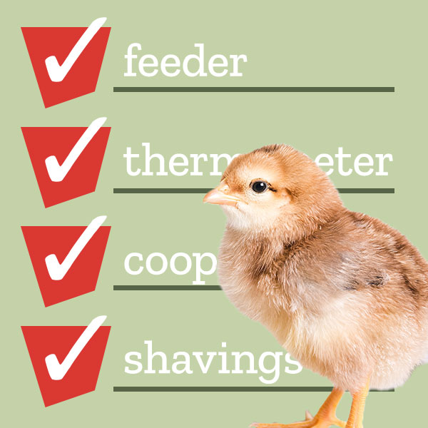 New Chick Checklist (PDF)