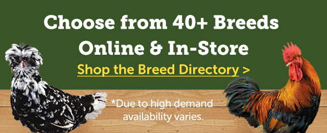 Breed Directory