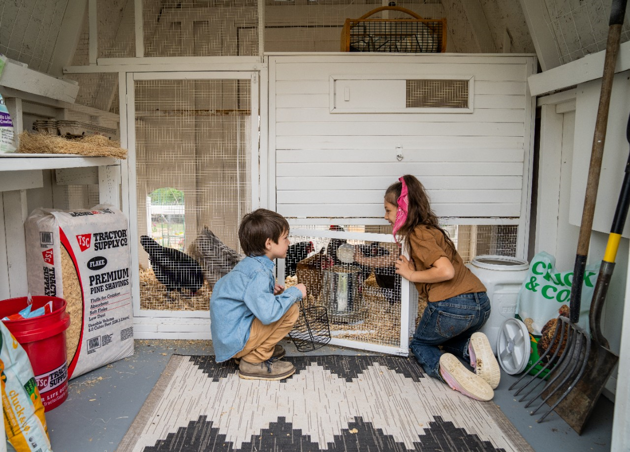 Image of two kids in a indoor chicken coop.