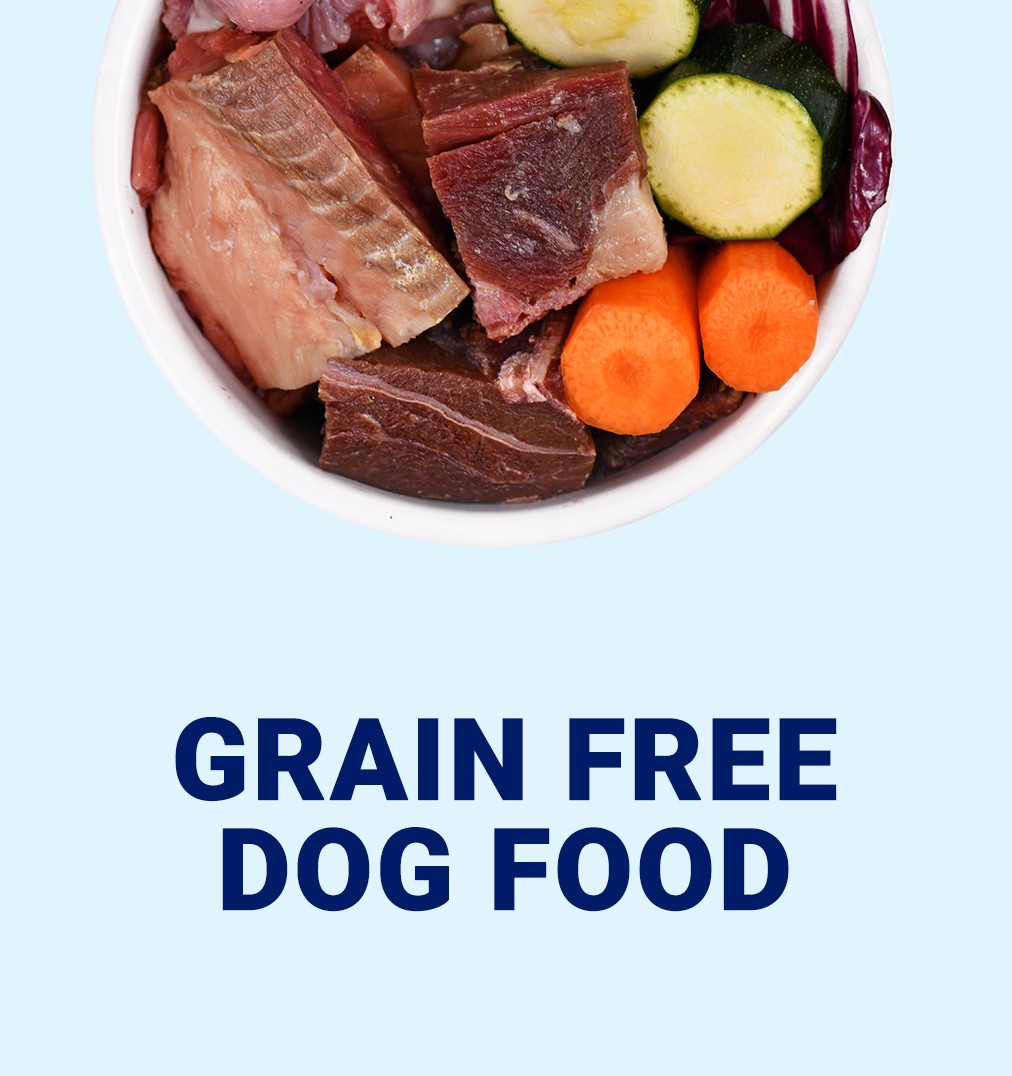 Grain-Free Dog Food.