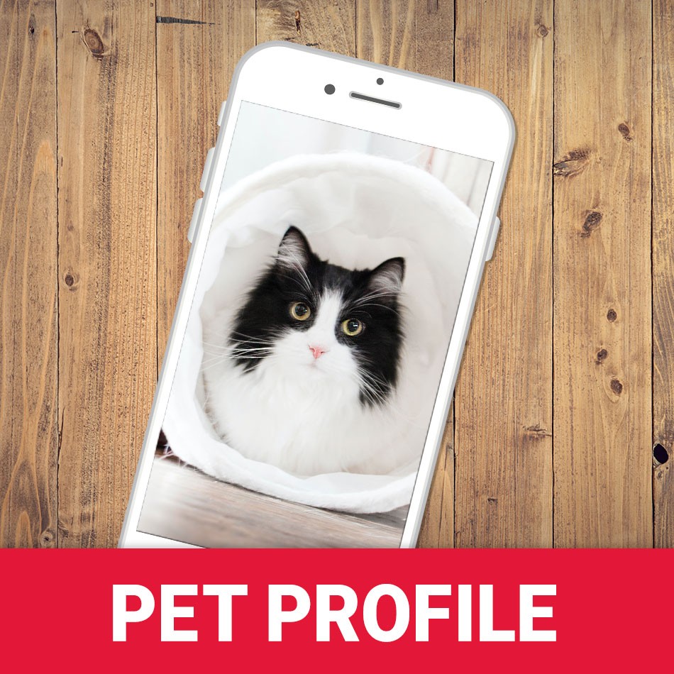 Pet Profile.
