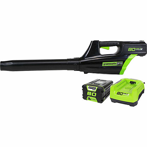 Shop GreenWorks Handheld Outdoor Power at Tractor Supply Co.