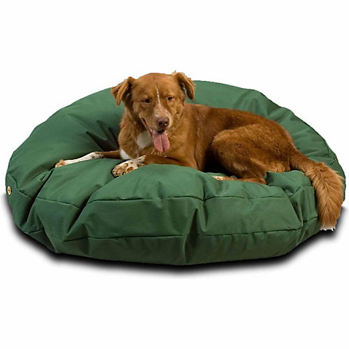 Shop Snoozer Pet Beds and Accessories at Tractor Supply Co.