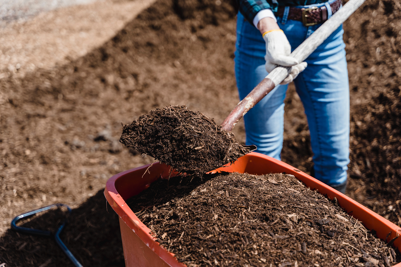 Image of someone scooping dirt into garden bed.