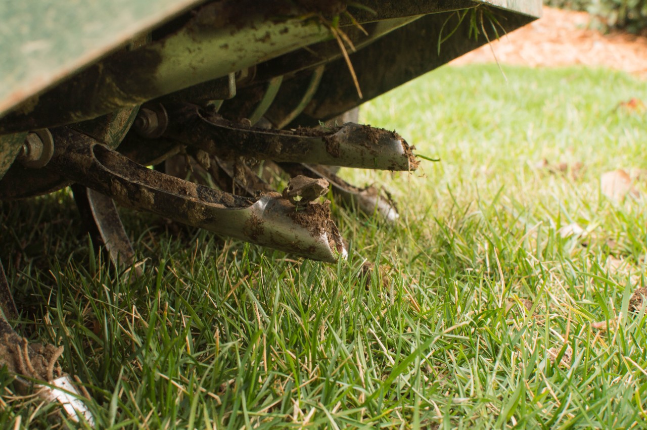 Soil Aeration: How to Aerate Your Lawn for Healthy Grass