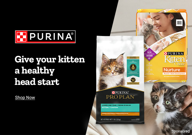 Purina, Give your kitten a healthy head start. Shop Now.