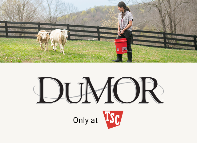 DuMor animal feed and more