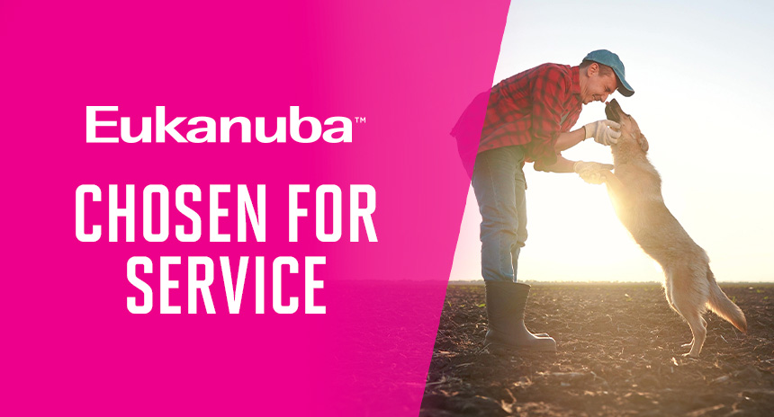 A service dog with owner