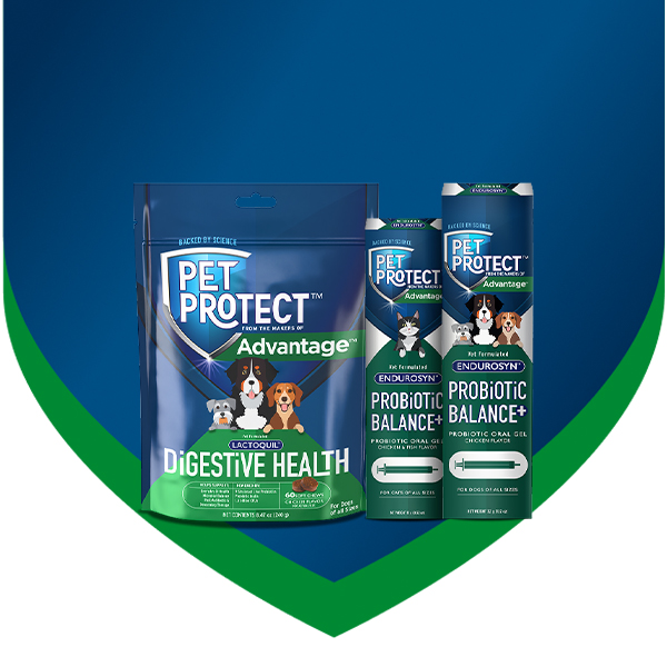 Elanco Pet Protect Digestive Health products