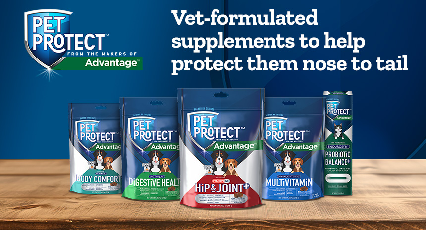 Pet Protect pet supplements