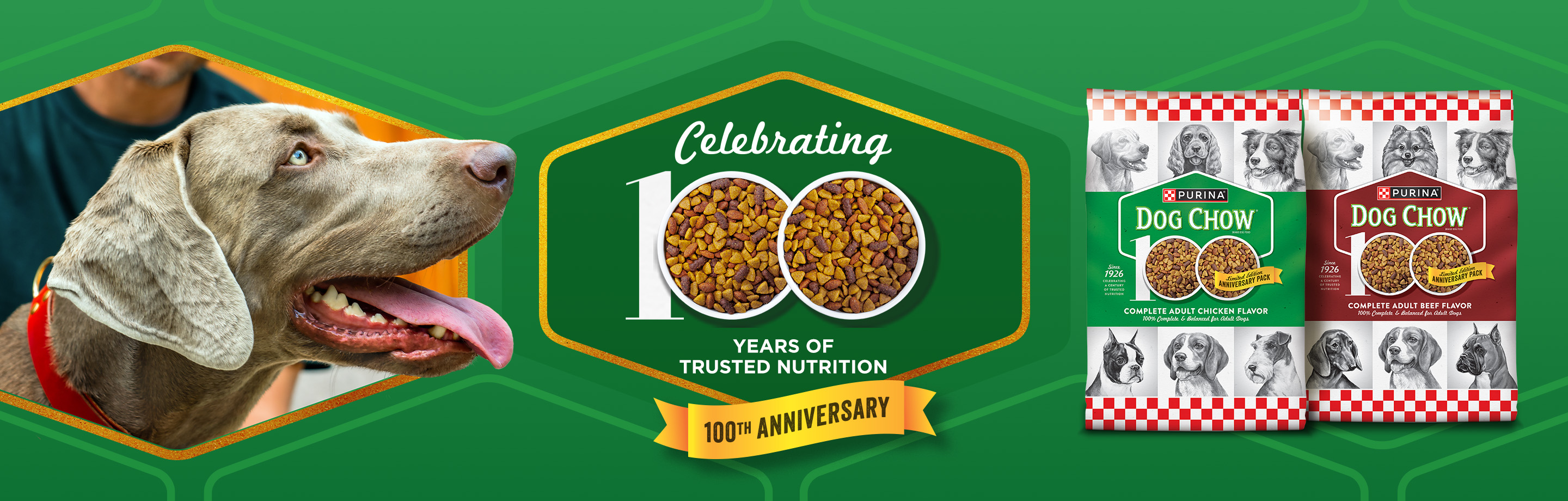 Purina Dog Chow banner reading, celebrating 100 years of trusted nutrition, featuring a dog and Dog Chow product bags.