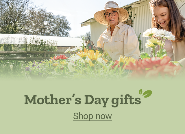 A promo banner showing a mother and daughter. Shop Mother’s Day gifts. 
