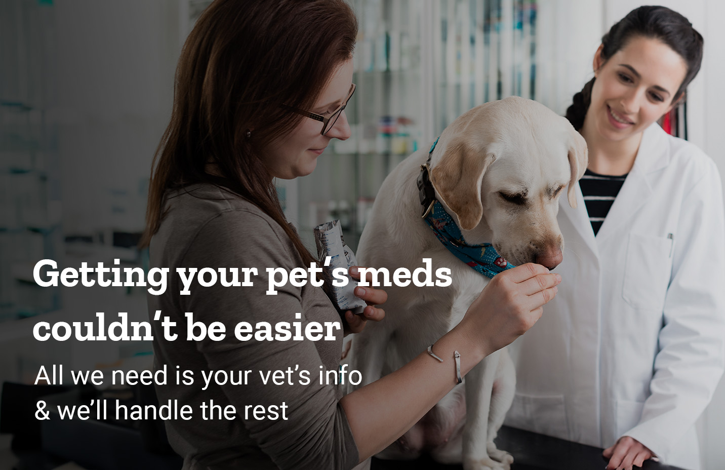 A woman with a dog and vet is shown on a banner reading, getting your pet’s meds couldn’t be easier. All we need is your vet’s info.