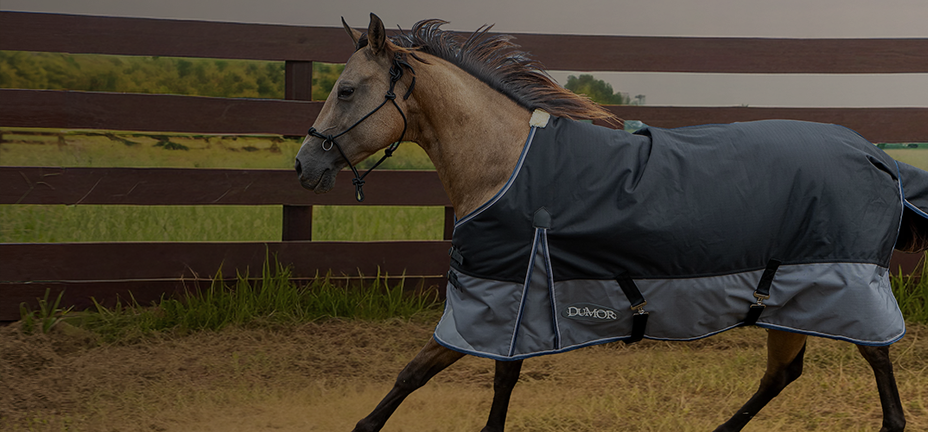 A horse wearing a blanket is shown. Banner reads, wrapped in warmth. Horse blankets, sheets and accessories. Shop now.