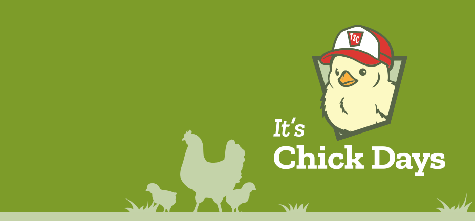 Banner with text, It’s Chick Days. Shop bird essentials..