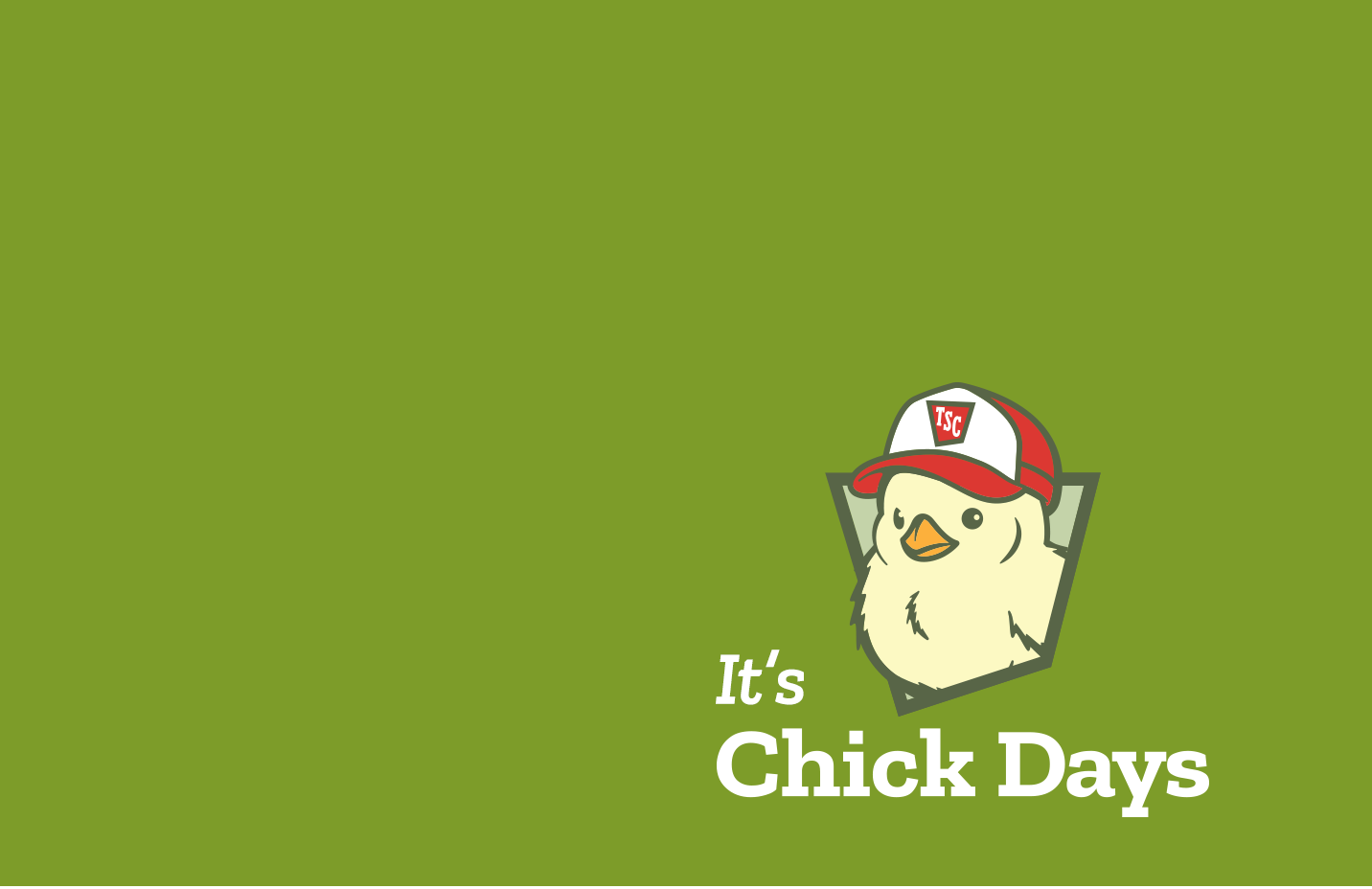 Banner with text, It’s Chick Days. Shop bird essentials..