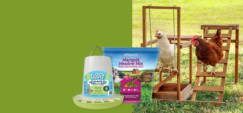 Banner with text, New for chickens. From treats and feed to toys and more, with products and chickens shown.