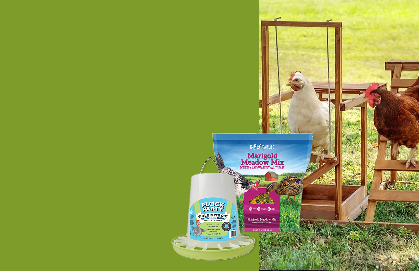 Banner with text, New for chickens. From treats and feed to toys and more, with products and chickens shown.