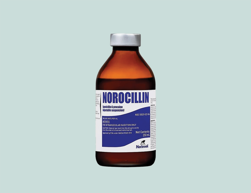 Get 50% off every new Autoship order on Norbrook