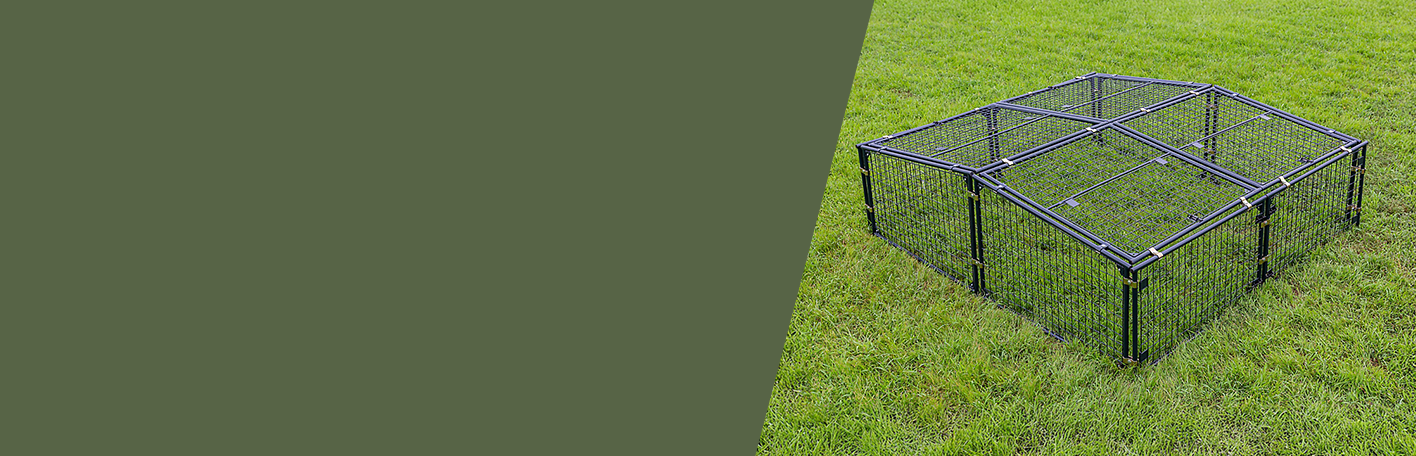 Chicken pens and runs