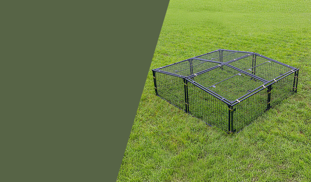 Chicken pens and runs