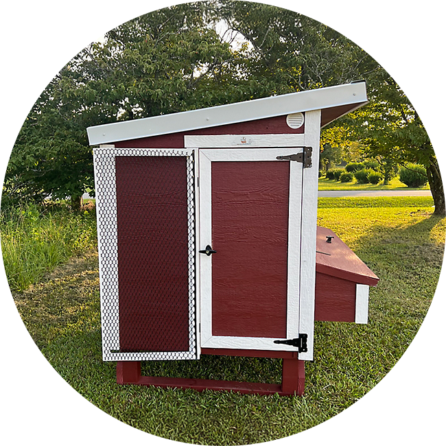 Chicken Coop Doors