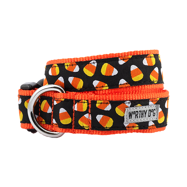 A dog collar printed with candy corn