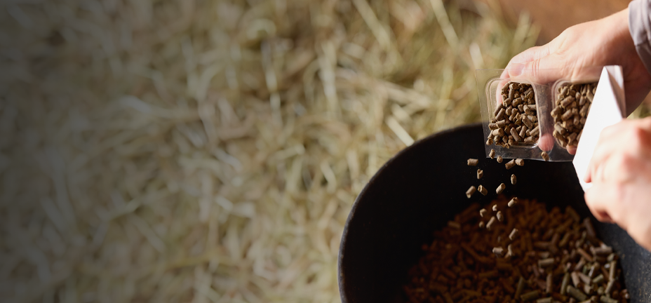 Shop SmartPak, daily pre-measured equine supplements