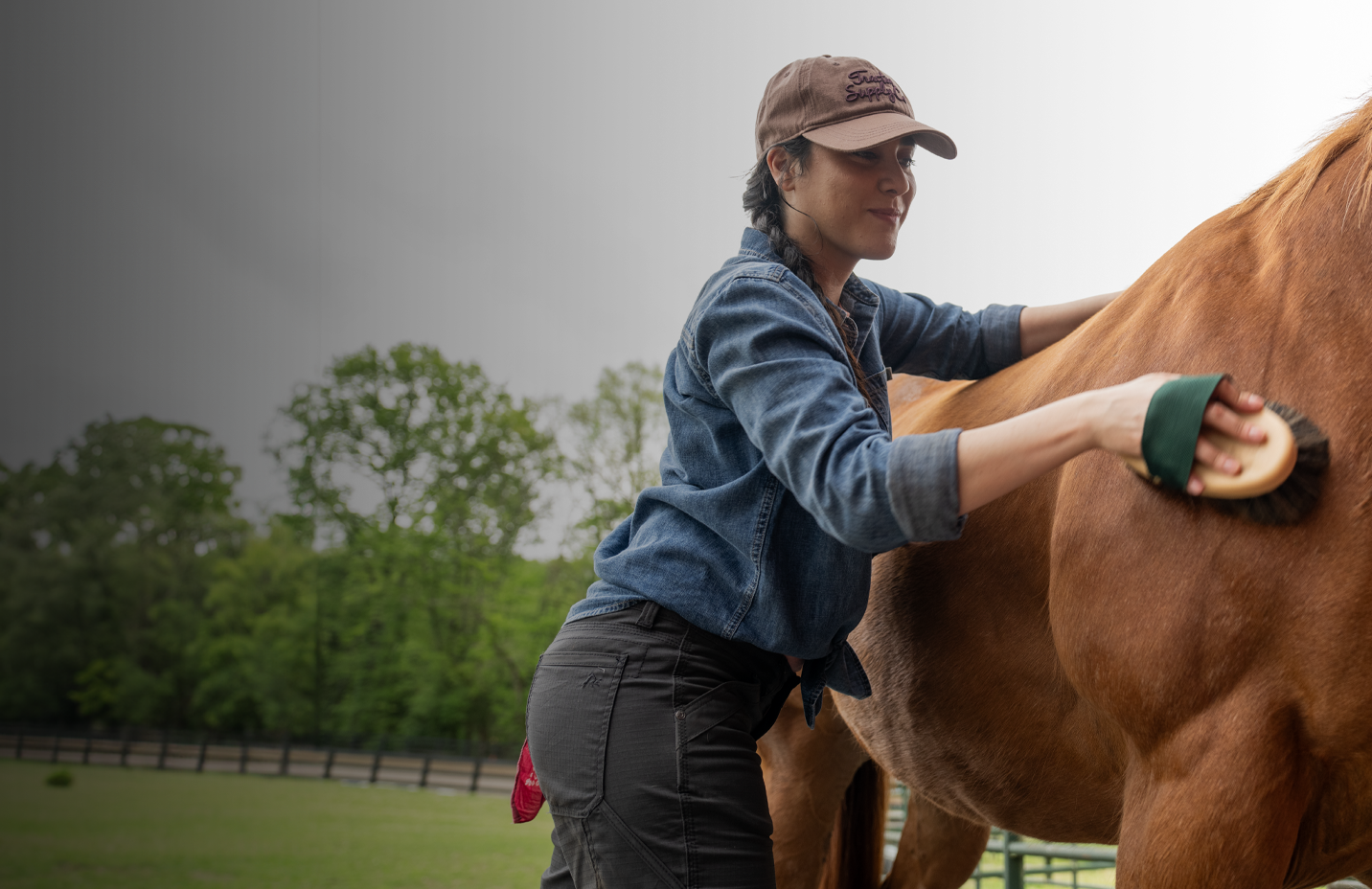 Helpful grooming tools at Tractor Supply for horse shedding season. Shop now.