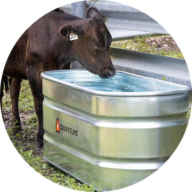 Shop feeders, supplements and more