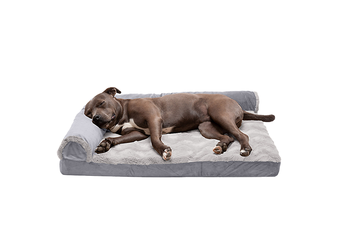 Dog beds on sale. Save up to 60 percent. Shop now