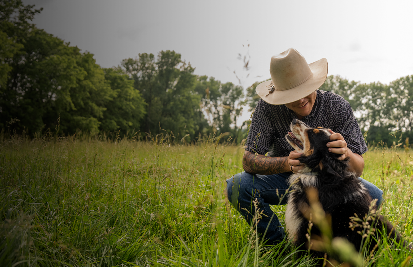 Promo banner with text, get tail-wagging prices on dog essentials. Shop now. 