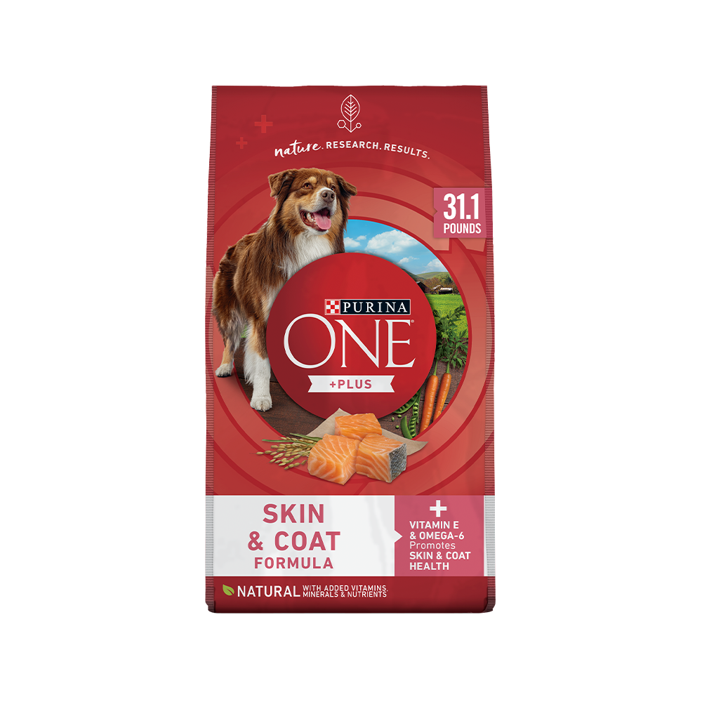 Shop all natural dog food