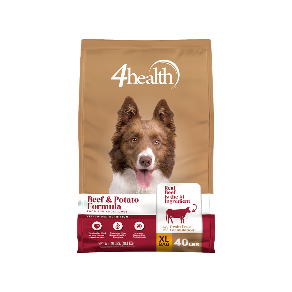 Shop grain free dog food