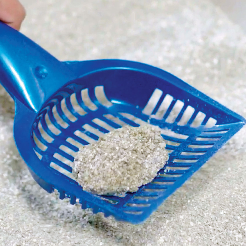 Category tile for clumping litter. Shop now.