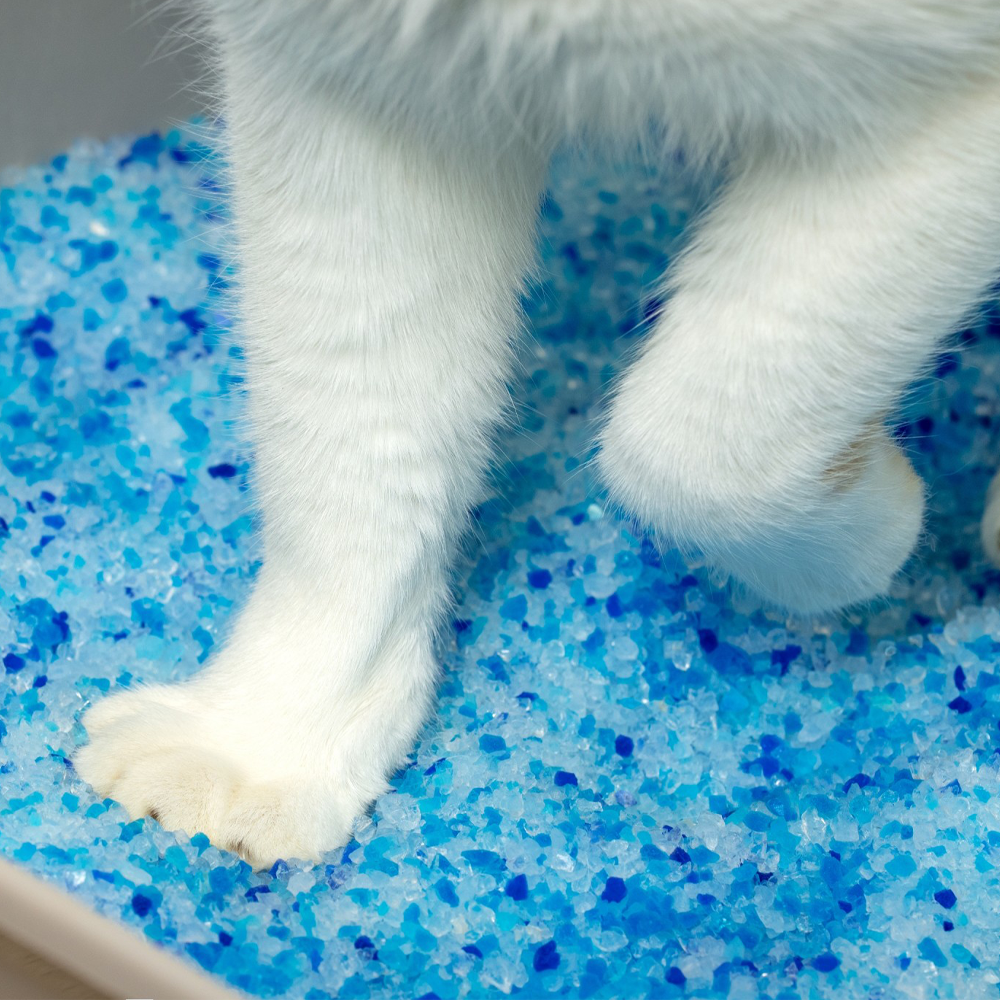 Category tile for crystal litter. Shop now.