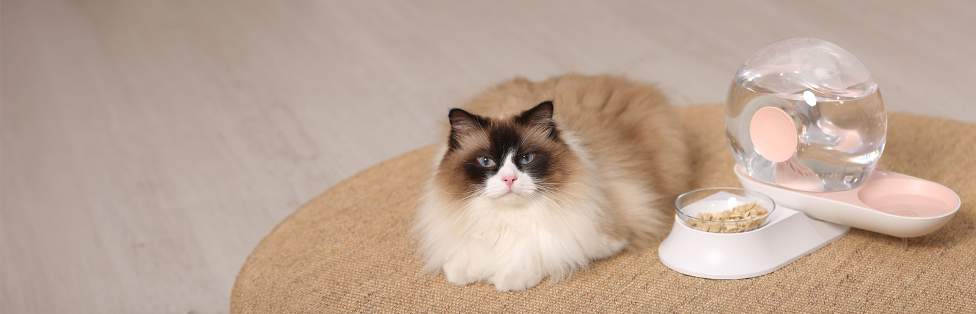 Pet tech banner with text, From automatic feeders to self-cleaning litter boxes, featuring a cat next to an automatic feeder and cat fountain. Shop now. 