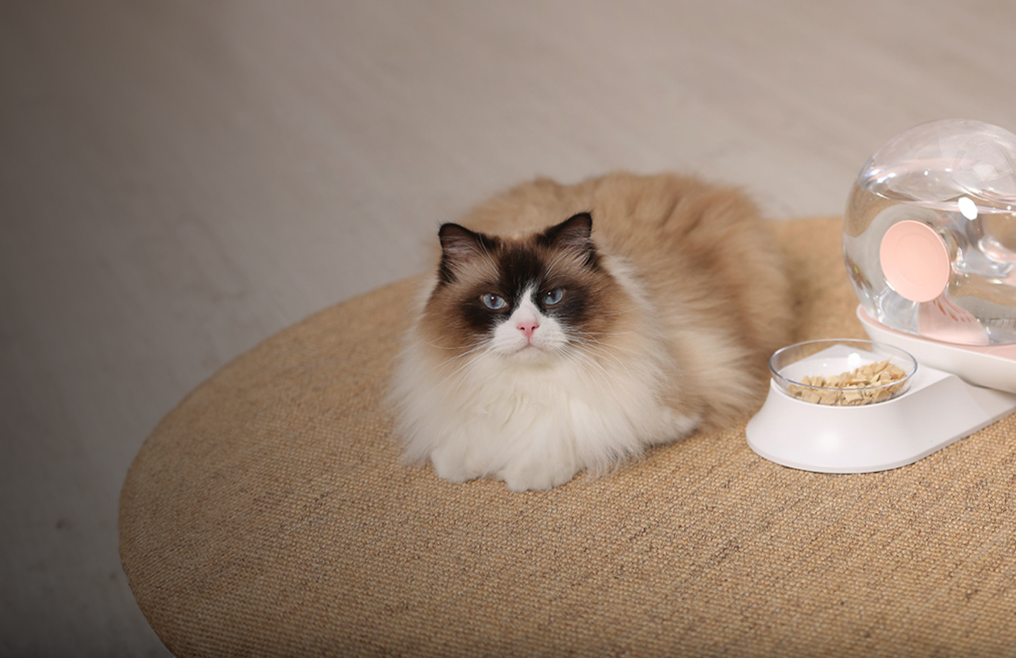 Pet tech banner with text, From automatic feeders to self-cleaning litter boxes, featuring a cat next to an automatic feeder and cat fountain. Shop now. 