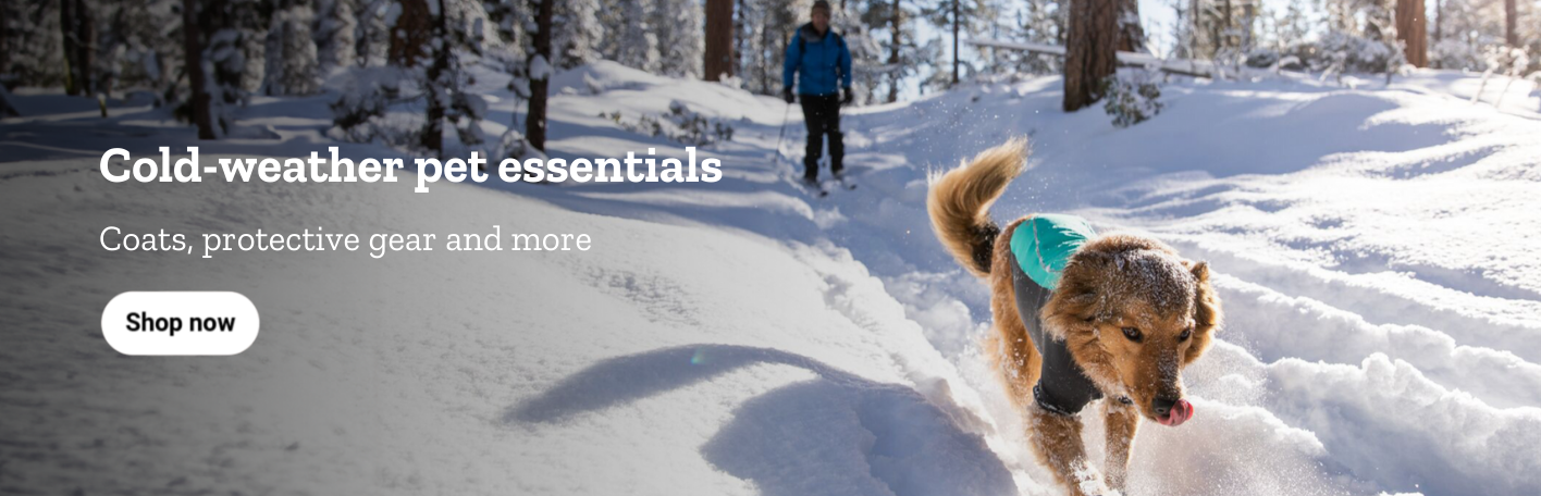 Cold weather pet essentials. Coats, protective gear and more.