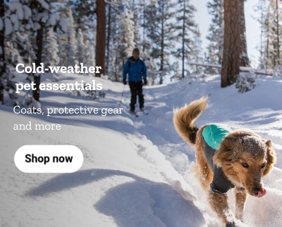 Cold weather pet essentials. Coats, protective gear and more.