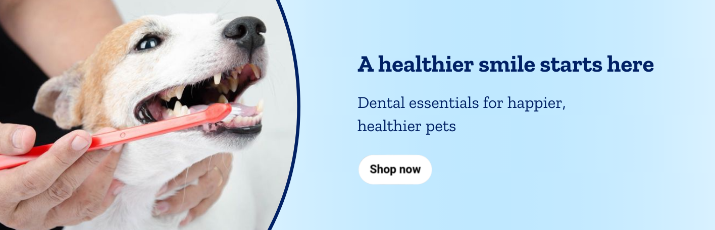 A healthier smile starts here. It's Pet Dental Month! Dental essentials for happier, healthier pets.
