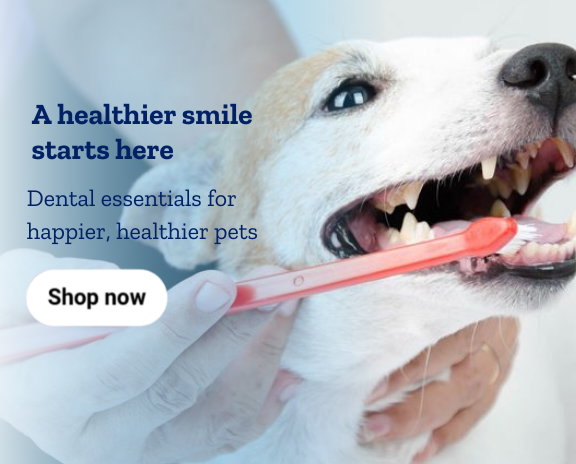 A healthier smile starts here. It's Pet Dental Month! Dental essentials for happier, healthier pets.