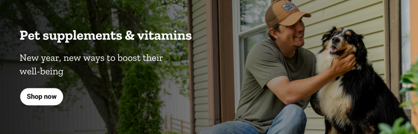 Pet supplements & vitamins. New year, new ways to boost their well-being.