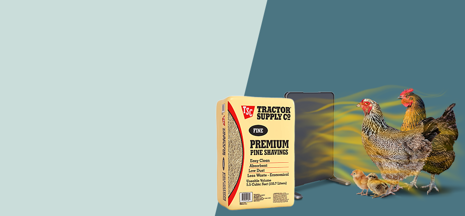 Banner for winter poultry supplies featuring pine shavings, a coop heater, and chickens with chicks. Shop now.