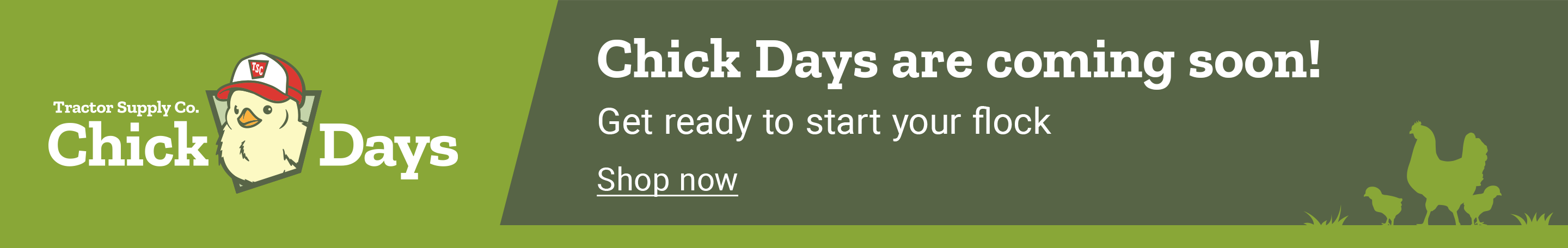 Promo banner with the text chick days are coming soon! Get ready to start your flock.