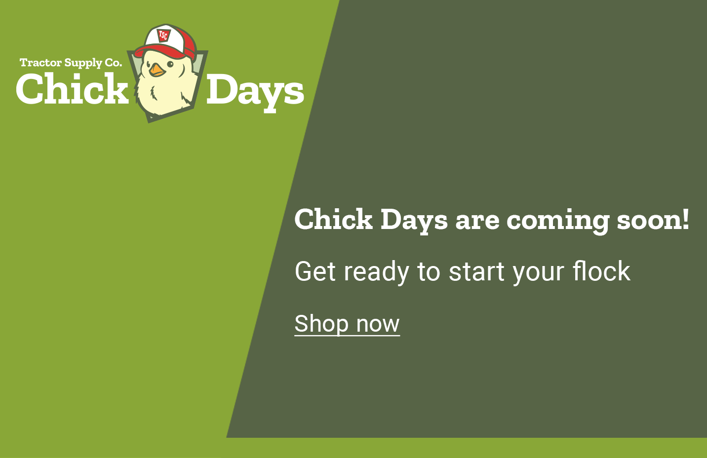 Promo banner with the text chick days are coming soon! Get ready to start your flock.