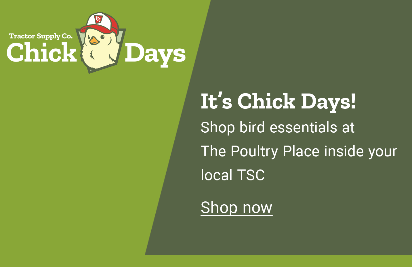 Promo banner with the text chick days are coming soon! Get ready to start your flock. 