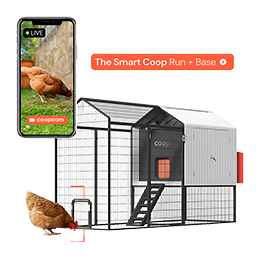 Smart coops