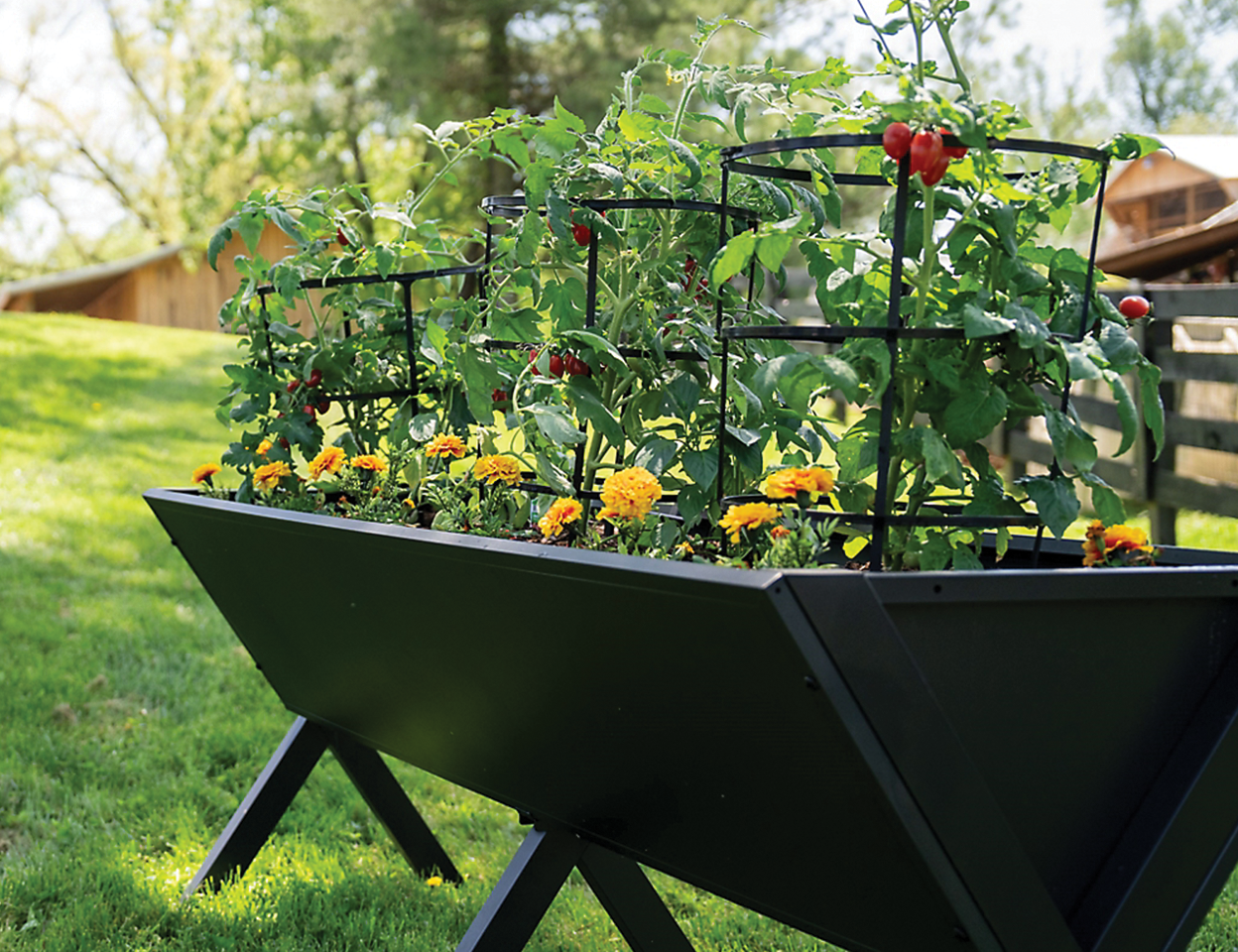 A deals tile reading Save up to 15 percent on planters at Tractor Supply with raised planter shown. Shop now. 