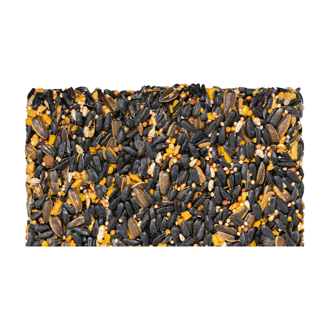 Category tile labelled seed cakes. Shop now.